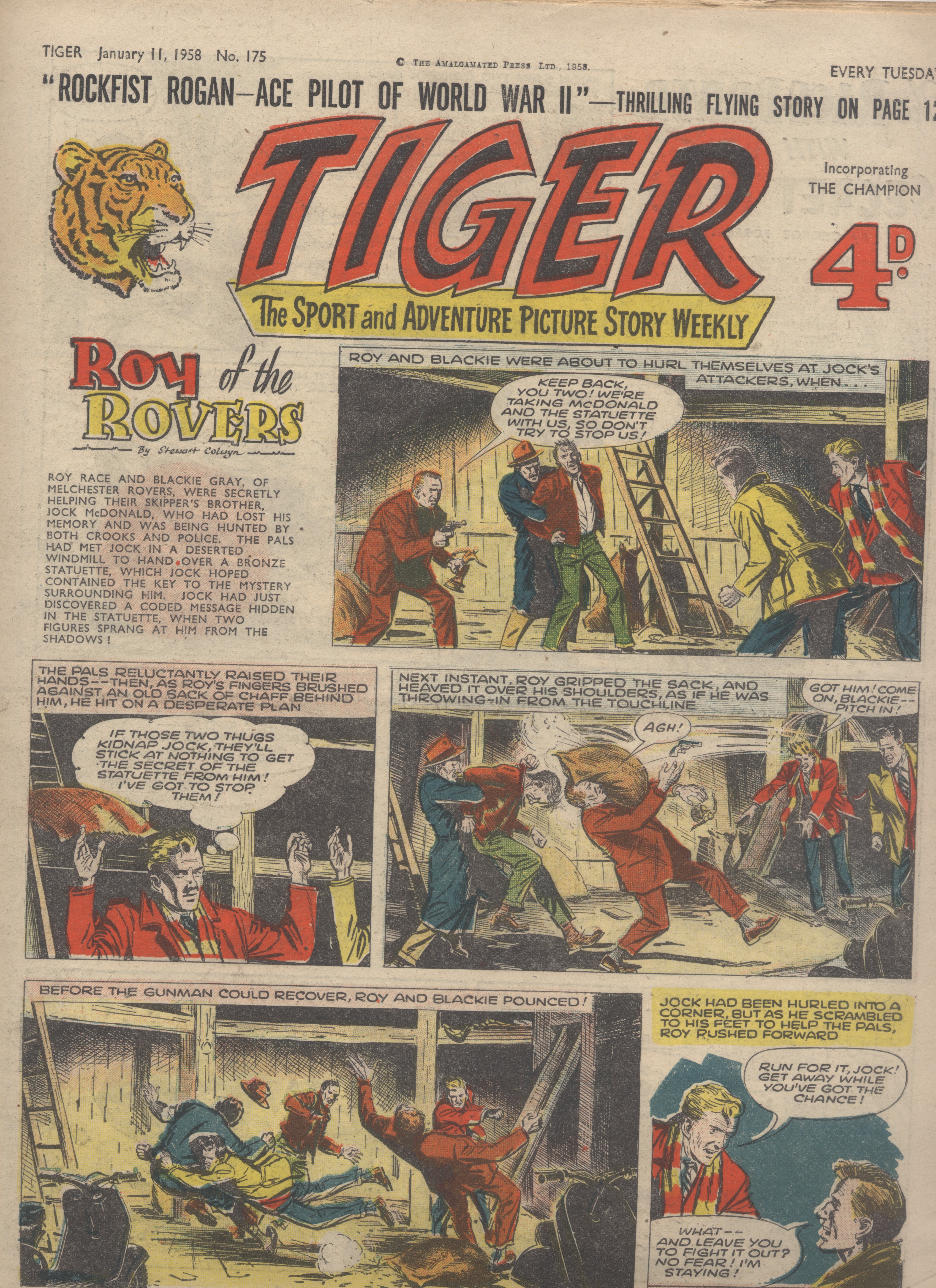 Tiger
